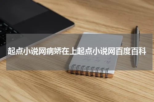 起点小说网病娇在上起点小说网百度百科