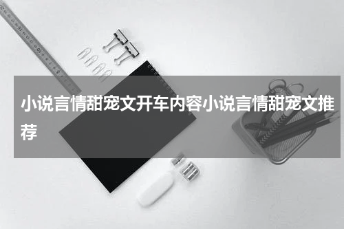 小说言情甜宠文开车内容小说言情甜宠文推荐