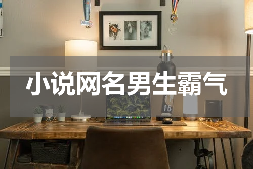 小说网名男生霸气