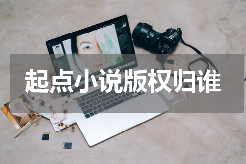起点小说版权归谁