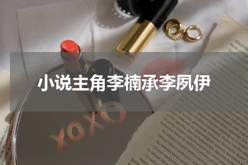小说主角李楠承李夙伊