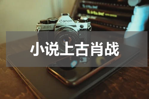 小说上古肖战