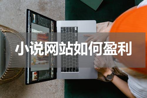 小说网站如何盈利