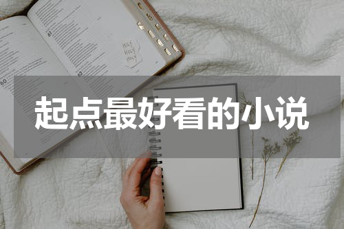 起点最好看的小说