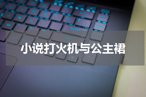 小说打火机与公主裙
