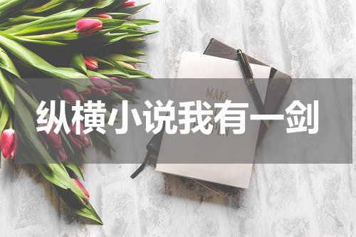 纵横小说我有一剑