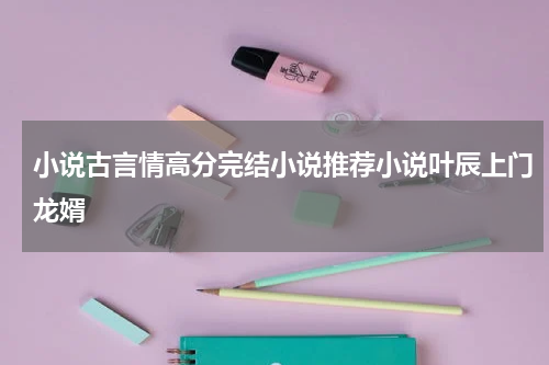 小说古言情高分完结小说推荐小说叶辰上门龙婿
