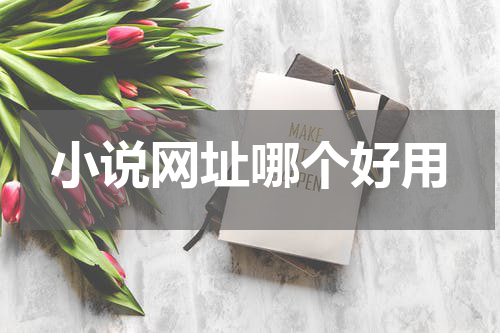 小说网址哪个好用