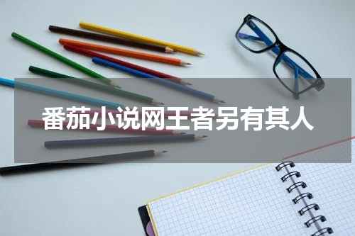 番茄小说网王者另有其人