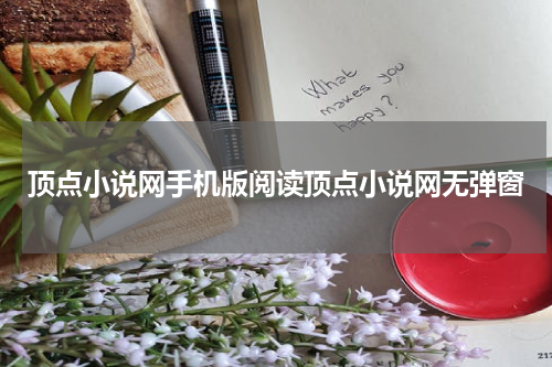 顶点小说网手机版阅读顶点小说网无弹窗
