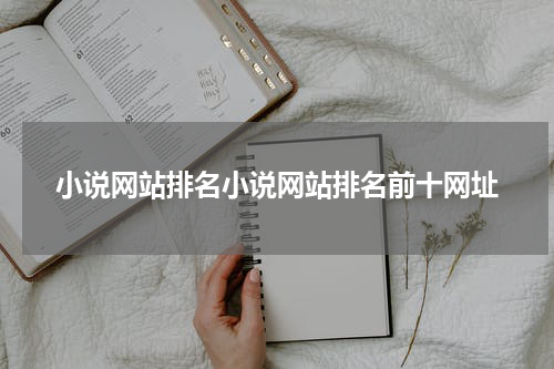 小说网站排名小说网站排名前十网址