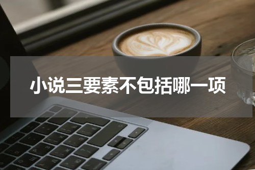 小说三要素不包括哪一项