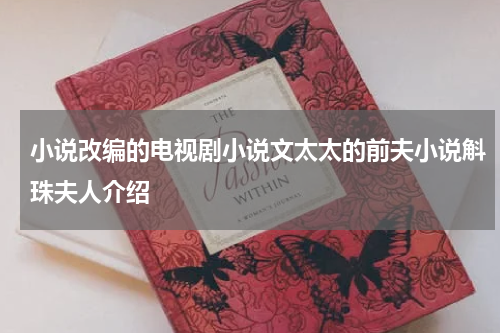 小说改编的电视剧小说文太太的前夫小说斛珠夫人介绍