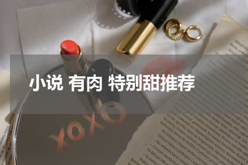 小说 有肉 特别甜推荐