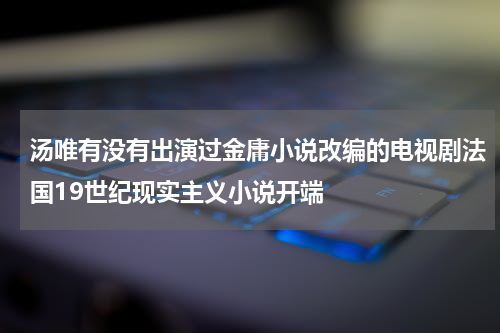 汤唯有没有出演过金庸小说改编的电视剧法国19世纪现实主义小说开端