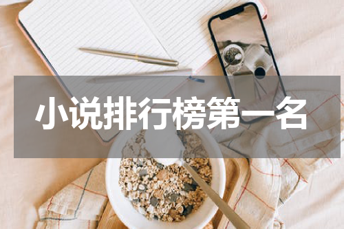 小说排行榜第一名