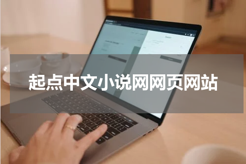 起点中文小说网网页网站