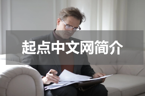 起点中文网简介