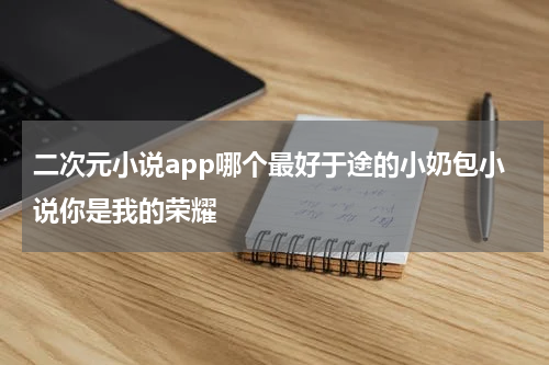二次元小说app哪个最好于途的小奶包小说你是我的荣耀