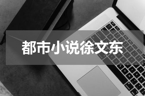 都市小说徐文东