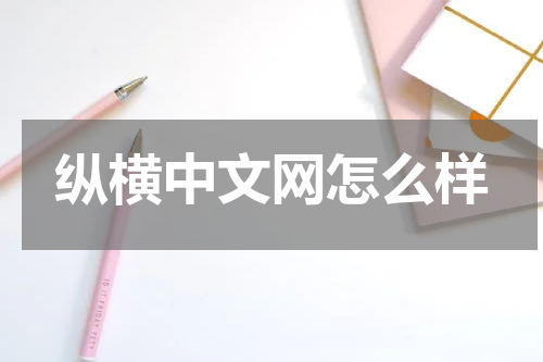 纵横中文网怎么样