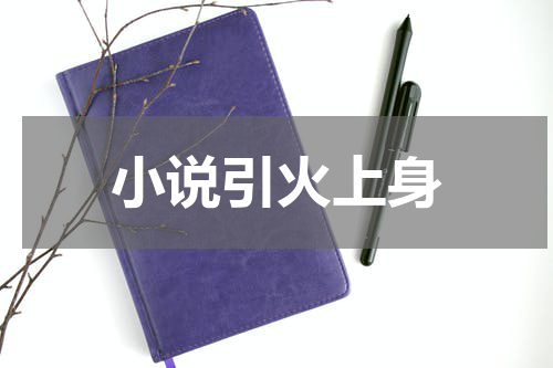 小说引火上身