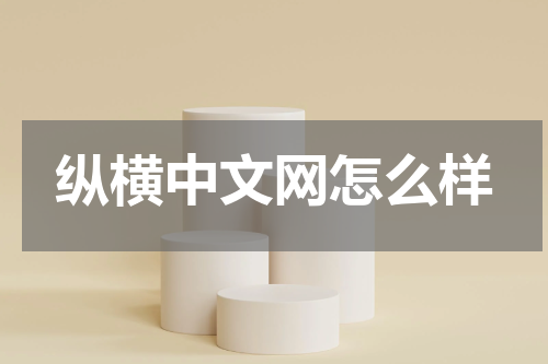 纵横中文网怎么样