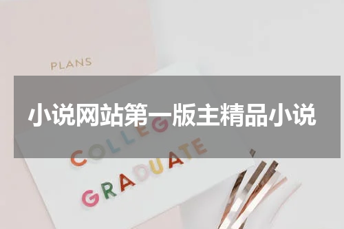 小说网站第一版主精品小说