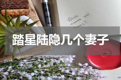 踏星陆隐几个妻子