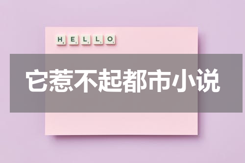 它惹不起都市小说
