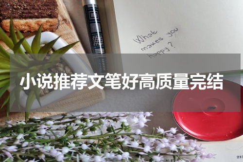 小说推荐文笔好高质量完结