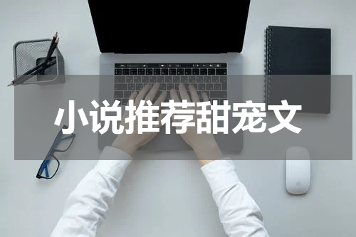 小说推荐甜宠文