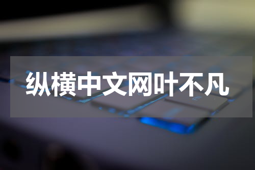 纵横中文网叶不凡