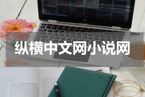 纵横中文网小说网