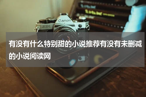 有没有什么特别甜的小说推荐有没有未删减的小说阅读网