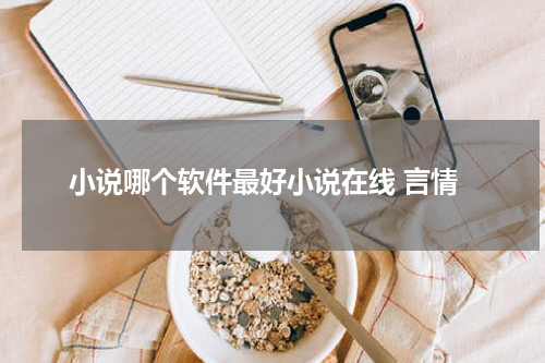 小说哪个软件最好小说在线 言情