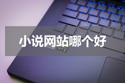 小说网站哪个好