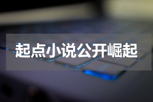 起点小说公开崛起