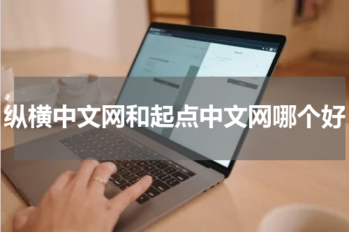 纵横中文网和起点中文网哪个好