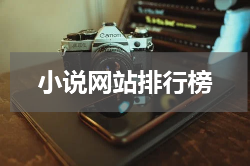 小说网站排行榜