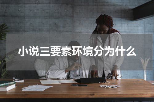 小说三要素环境分为什么