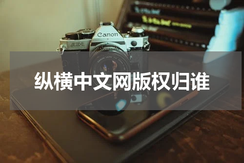 纵横中文网版权归谁