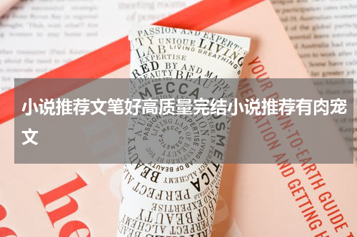 小说推荐文笔好高质量完结小说推荐有肉宠文