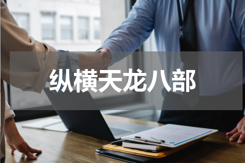 纵横天龙八部