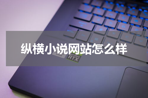 纵横小说网站怎么样