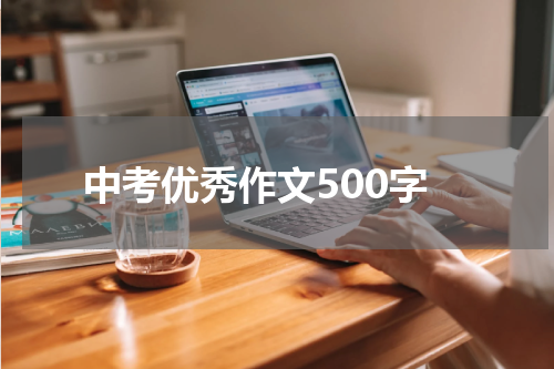 中考优秀作文500字