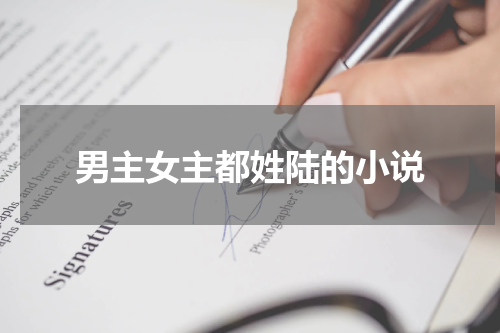 男主女主都姓陆的小说