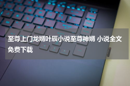 至尊上门龙婿叶辰小说至尊神婿 小说全文免费下载