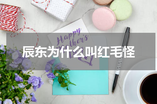 辰东为什么叫红毛怪