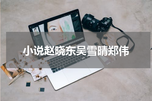 小说赵晓东吴雪晴郑伟